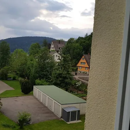 Daire 2 In Triberg