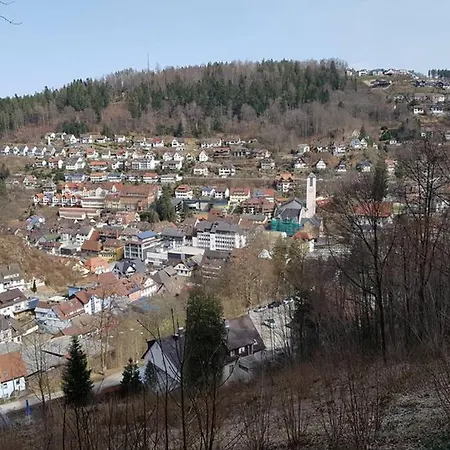 2 In Triberg Triberg im Schwarzwald